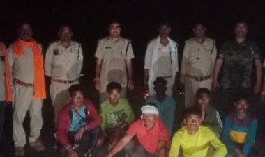 छत्तीसगढ़ से आए तीन हाथी 50 दिन बाद लौटे:अनूपपुर में 100 से अधिक घरों और खेतों में किया नुकसान, एक बच्चा घायल