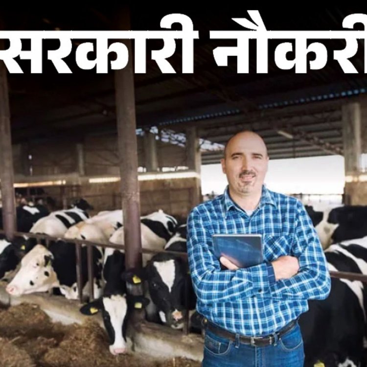 सरकारी नौकरी:महाराष्ट्र लोक सेवा आयोग ने 3511 पदों पर निकाली भर्ती; लास्ट डेट 19 मई, सैलरी 1 लाख 82 हजार तक