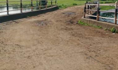 खंडवा के डोटखेड़ा में मनरेगा योजना में भ्रष्टाचार:पुलिया मरम्मत के लिए 2 लाख निकाले, काम अधूरा; ग्रामीणों ने एसडीएम से की शिकायत