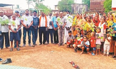 थनौद में पौधरोपण