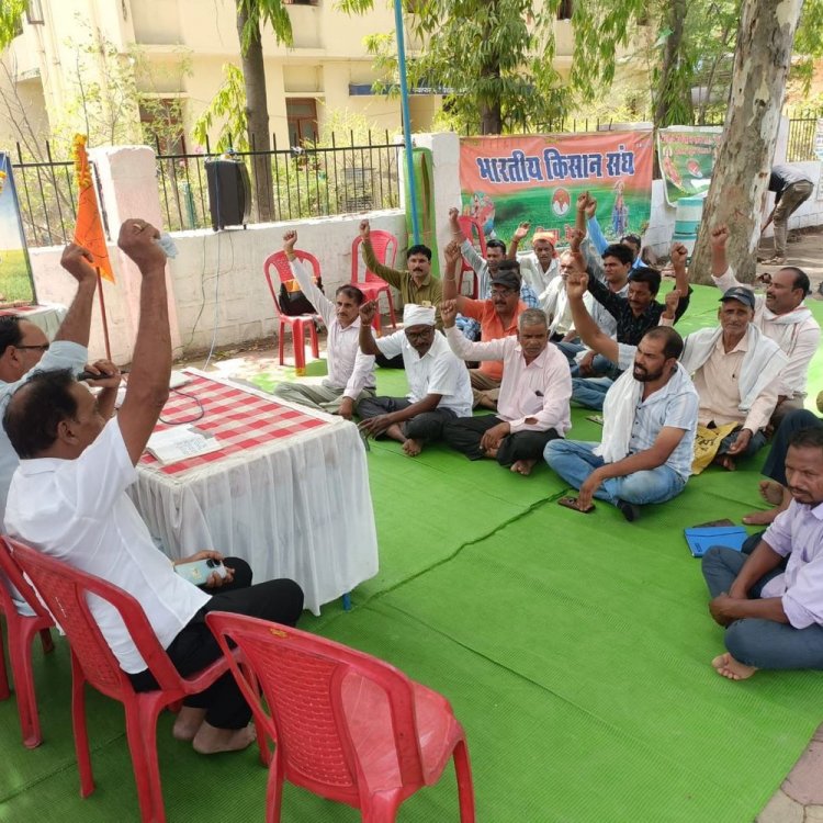 बैतूल में MSP पर मूंग खरीदी शुरू करने की मांग:किसान संघ ने कलेक्ट्रेट में किया विरोध; आंदोलन की दी चेतावनी
