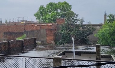 सीधी में बारिश का रेड अलर्ट जारी:अगले 48 घंटों में मूसलाधार बारिश की चेतावनी, जिले में 7 दिन में 35.43 इंच वर्षा दर्ज