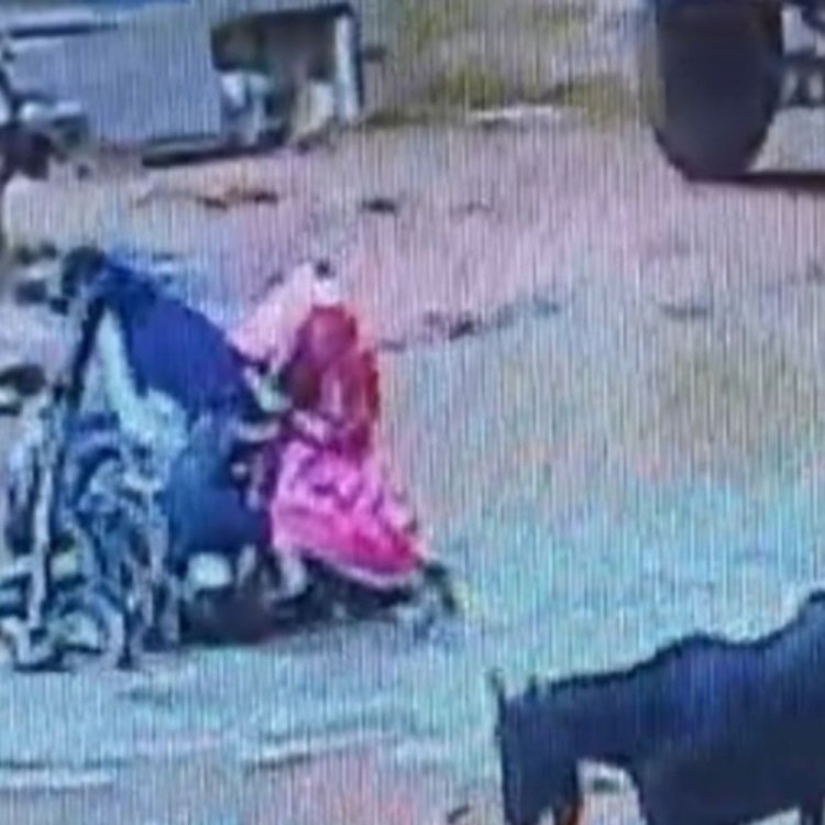 टीकमगढ़ में गड्ढे में बाइक सहित गिरा परिवार:गोद में बच्चे के साथ पानी में गिरे दंपती, सीसीटीवी में कैद हुई घटना