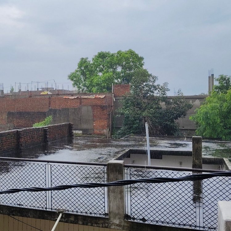 लेक्चरर-कोच एग्जाम के 9 सब्जेक्ट की मॉडल आंसर-की जारी:कल से कैंडिडेट्स दर्ज करा सकेंगे ऑनलाइन आपत्तियां, 18 जुलाई लास्ट डेट