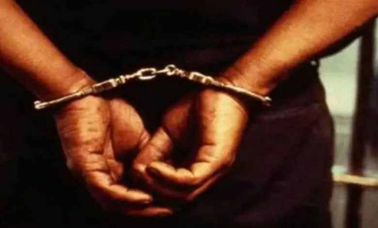 अलवर में पुलिस का बड़ा ऑपरेशन: 194 किलो अफीम-डोडा चूरा बरामद, ट्रेलर चालक गिरफ्तार