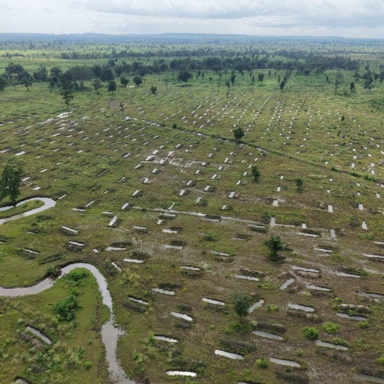 खंडवा में अतिक्रमण हटा तो फिर पनपी हरियाली:जंगल में खोदे कंटूरों में पानी भरा; देखिए 5 हजार एकड़ जंगल का ड्रोन नजारा