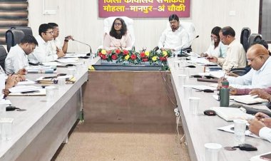 राज्योत्सव : कलेक्टर ने सौंपा दायित्व