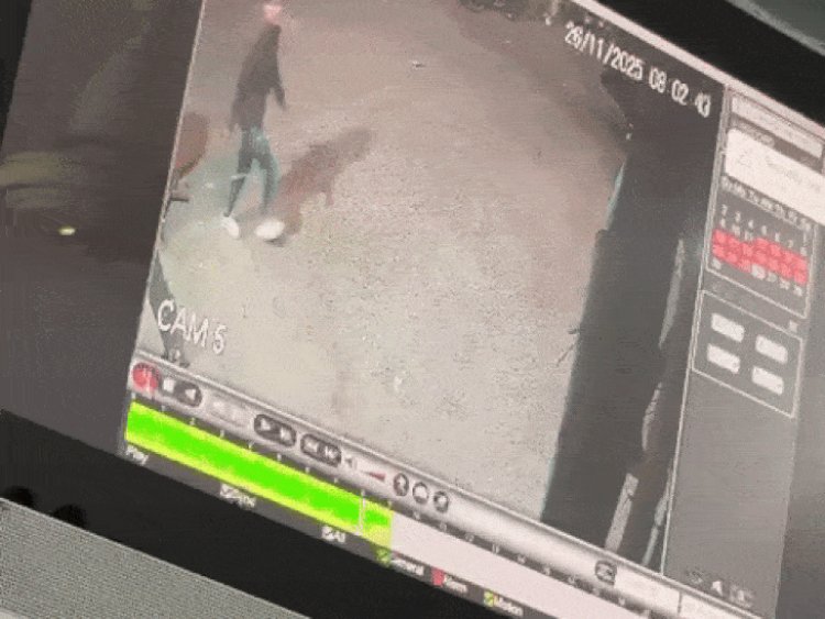 सरकारी नौकरी:RITES में असिस्टेंट मैनेजर के 400 पदों पर निकली भर्ती; 25 दिसंबर लास्ट डेट, 11 जनवरी 2026 को एग्जाम