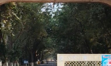 ग्वालियर में कॉलेजों में लगेंगे सीसीटीवी कैमरे:परीक्षा निगरानी होगी सख्त, नकल पर लगेगी लगाम; रिकॉर्डिंग रखी जाएगी सुरक्षित