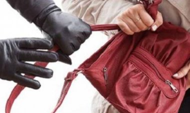 इंदौर में टू व्हीलर पर आया बदमाश:पैदल जा रही महिला का पर्स छिनकर भागा, पुलिस ने खंगाले सीसीटीवी कैमरे