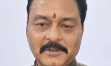 स्टाम्प शुल्क बचाने करोड़ों की जमीन दो टुकड़ों में खरीदी:निधि पाठक को कलेक्टर ने दिया नोटिस, 4 करोड़ की जमीन 96 लाख में किया सौदा