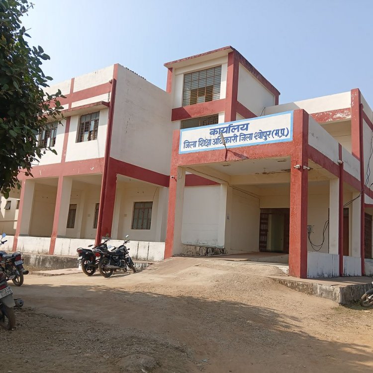 एमपी बोर्ड परीक्षा टाइम टेबल संशोधित:10वीं की 13 फरवरी, 12वीं की 10 फरवरी से शुरू होंगी परीक्षाएं