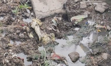 धार के जेतपुरा में पानी टंकी के पास कचरा:दूषित पानी से बीमारी का खतरा, सरपंच ने सचिव को ठहराया जिम्मेदार