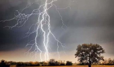 मध्यप्रदेश में मौसम का नया मिजाज: 18 को सबसे ज्यादा असर, 15 जिलों में चेतावनी जारी