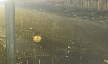 आज की सरकारी नौकरी:पंजाब में एक्साइज इंस्पेक्टर के 197 पदों पर निकली भर्ती; ग्रेजुएट्स को मौका, सैलरी 1 लाख 12 हजार तक